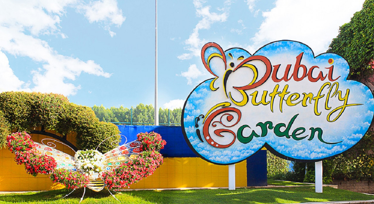 Dubai Butterfly Garden Tickets - Photo 1 of 4